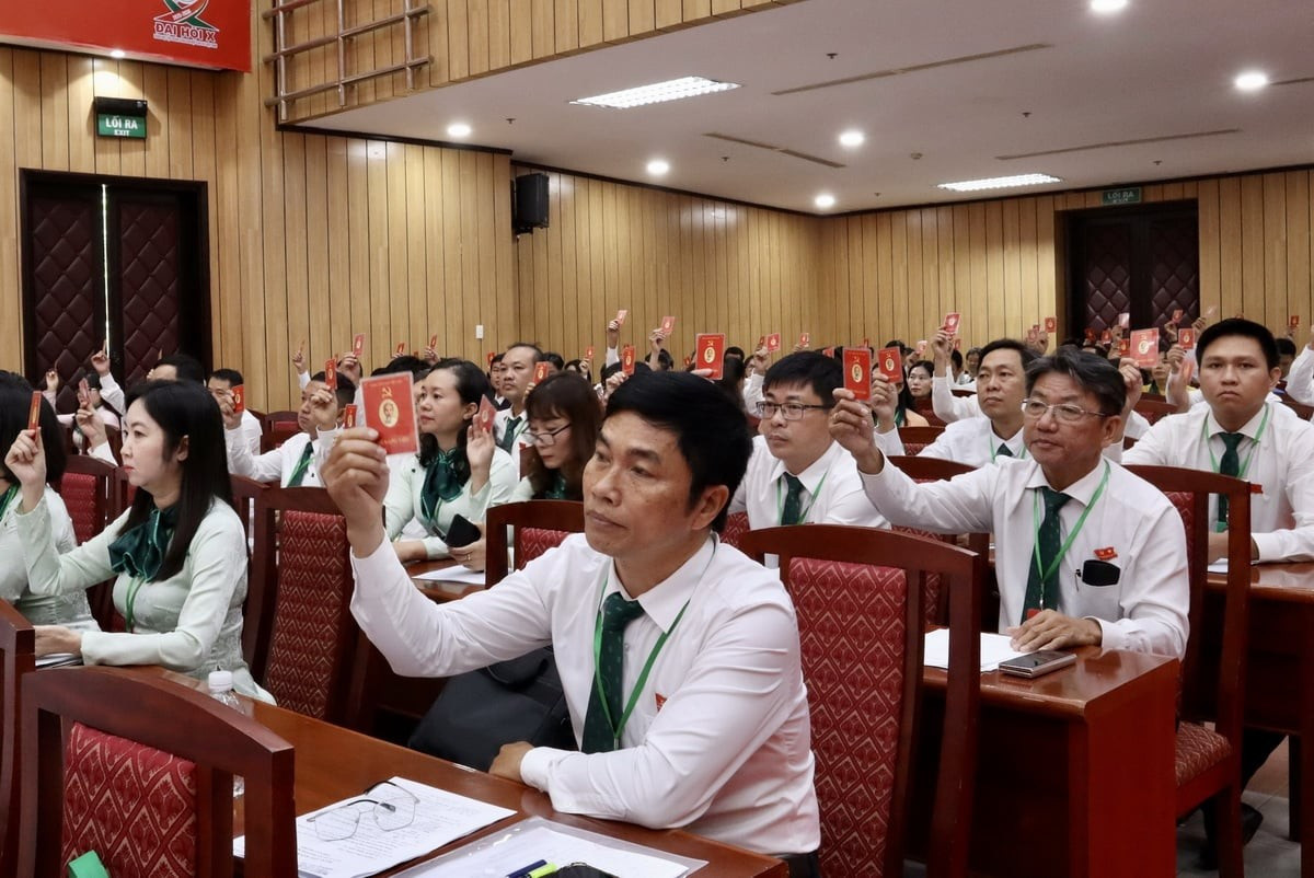 Đại biểu biểu quyết thông qua các nội dung tại Đại hội. (Ảnh: Xuân Anh/TTXVN) dai-hoi-dang-tap-doan-cao-su-07222025-02.jpg