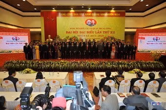 cd1513825-resize.jpg