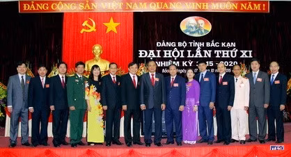 cd1514164-resize.jpg