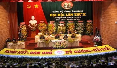 cd1514121-resize.jpg