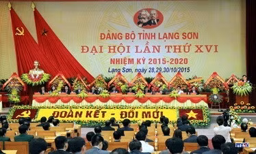 cd1514125-resize.jpg