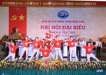 cd158838-resize.jpg