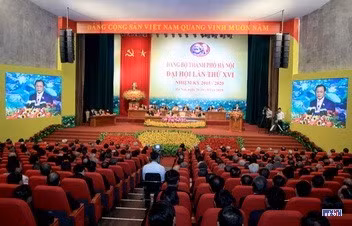 cd1514013-resize.jpg