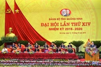 cd1514577-resize.jpg