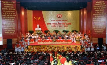 cd1514567-resize.jpg
