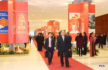 cd160569-resize.jpg