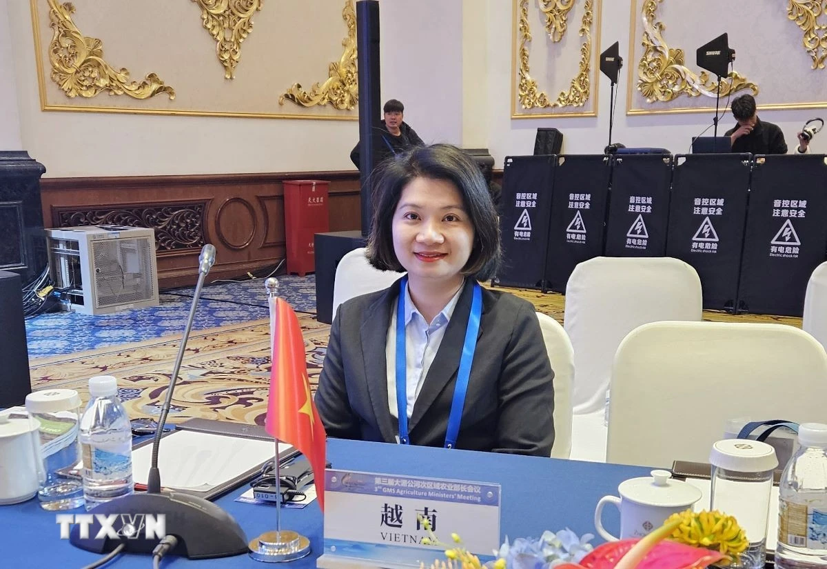 Tiến sỹ Phạm Thị Thanh Loan, Tổng Giám đốc Công ty TNHH Du Lịch và Thương Mại Dịch Vụ Việt-Việt Quảng Đông. (Ảnh: TTXVN phát)