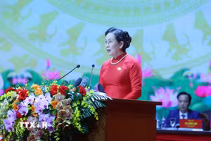 Đồng chí Lê Thị Thủy được phân công giữ chức Bí thư Đảng ủy TW Hội Liên hiệp Phụ nữ Việt Nam. (Ảnh: Phạm Kiên/TTXVN)