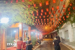 Những lá cờ Tổ quốc tung bay trên tuyến phố dài 800m (phường Ba Đình, Hà Nội) (Ảnh: Tuyết Mai/TTXVN)