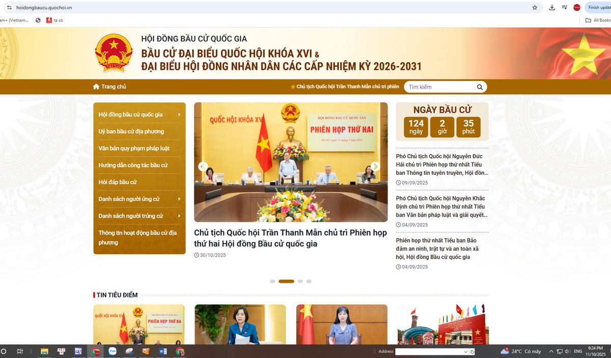 Trang thông tin điện tử bầu cử. (Ảnh chụp màn hình)