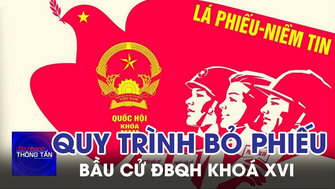 Hướng dẫn Quy trình bỏ phiếu bầu cử ĐBQH khoá XVI và đại biểu HĐND các cấp nhiệm kỳ 2026 - 2031 