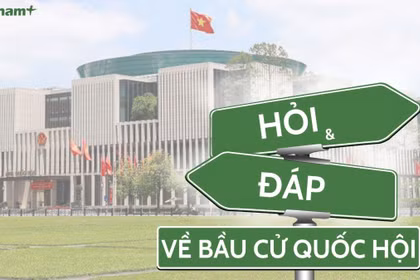 Trong trường hợp cử tri ốm đau, già yếu, khuyết tật không thể đến phòng bỏ phiếu được thì Tổ bầu cử mang hòm phiếu phụ và phiếu bầu đến chỗ ở, chỗ điều trị của cử tri để cử tri nhận phiếu bầu và thực hiện việc bầu cử. (Nguồn: Vietnam+)