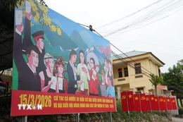 Cờ hoa và băngrôn khẩu hiệu tuyên truyền về bầu cử. (Nguồn: TTXVN)