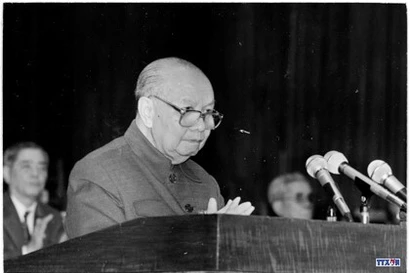 Tổng Bí thư Trường Chinh phát biểu. Ảnh: TTXVN