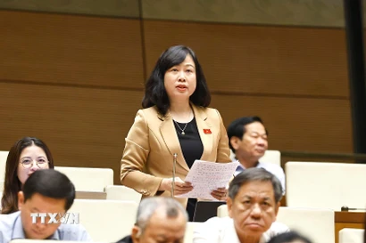 Bộ trưởng Bộ Y tế Đào Hồng Lan. (Ảnh: Doãn Tấn/TTXVN)