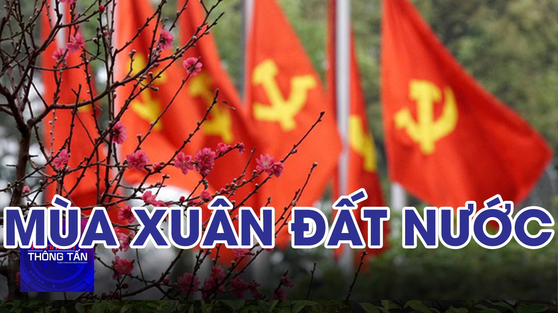 Mùa xuân đất nước