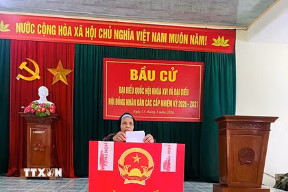 Cử tri cao tuổi xã Tân Minh tích cực tham gia đi bỏ phiếu. (Ảnh: TTXVN phát)