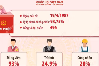 Kết quả bầu cử đại biểu Quốc hội khóa VIII