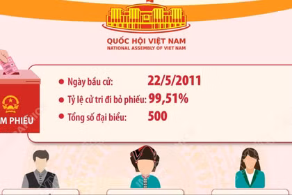 Kết quả bầu cử đại biểu Quốc hội khóa XIII