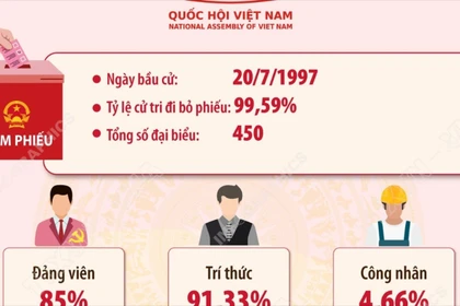 Kết quả bầu cử đại biểu Quốc hội khóa X