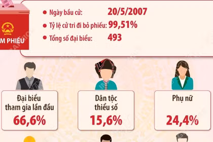 Kết quả bầu cử đại biểu Quốc hội khóa XII