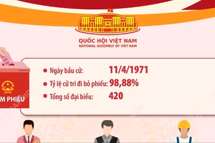 Kết quả bầu cử đại biểu Quốc hội khóa IV