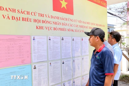 Người dân ở xã Cà Ná theo dõi sát sao danh sách niêm yết ứng cử viên Đại biểu Quốc hội khóa XVI và Đại biểu HĐND các cấp tại tổ bầu cử số 6. (Ảnh: Công Thử/TTXVN)