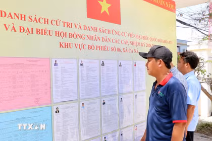 Người dân ở xã Cà Ná theo dõi sát sao danh sách niêm yết ứng cử viên Đại biểu Quốc hội khóa XVI và Đại biểu HĐND các cấp tại tổ bầu cử số 6. (Ảnh: Công Thử/TTXVN)