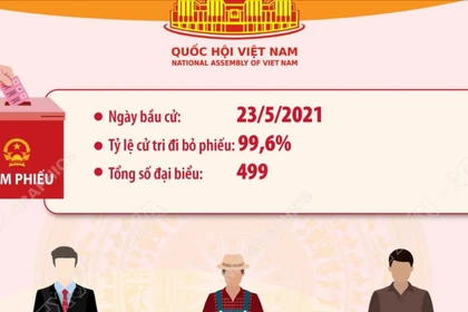 Kết quả bầu cử đại biểu Quốc hội khóa XV