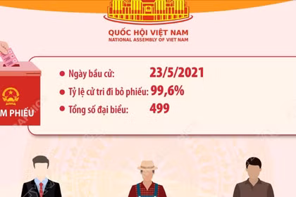 Kết quả bầu cử đại biểu Quốc hội khóa XV
