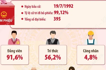 Kết quả bầu cử đại biểu Quốc hội khóa IX