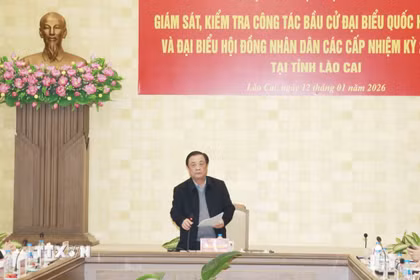 Phó Chủ tịch Quốc hội Lê Minh Hoan phát biểu tại buổi làm việc. (Ảnh: Tuấn Anh/TTXVN)