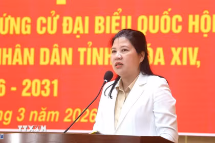 Phó Chủ tịch Hội đồng Dân tộc của Quốc hội Đinh Thị Phương Lan thông qua chương trình hành động với cử tri đặc khu Lý Sơn. (Ảnh: TTXVN phát)