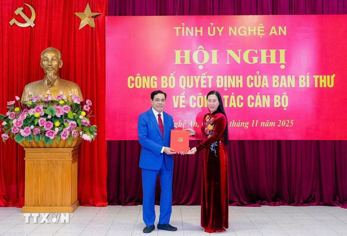 Bà Bùi Thị Quỳnh Vân, Ủy viên Trung ương Đảng, Phó Trưởng Ban Tổ chức Trung ương trao quyết định cho ông Võ Trọng Hải. (Ảnh: TTXVN phát)