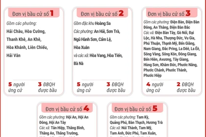 5 đơn vị bầu cử của thành phố Đà Nẵng