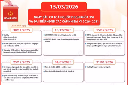Mốc thời gian trước và sau khi diễn ra cuộc bầu cử đại biểu Quốc hội khóa XVI