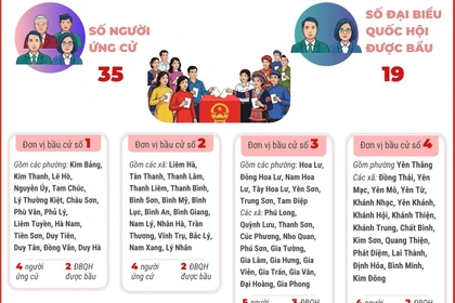 8 đơn vị bầu cử của tỉnh Ninh Bình