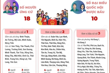 4 đơn vị bầu cử của tỉnh Tuyên Quang