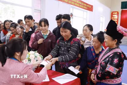 Phát phiếu bầu cho cử tri. (Ảnh: Quý Trung/TTXVN)