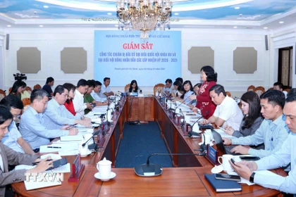 Quang cảnh buổi giám sát. (Ảnh: Xuân Khu/TTXVN)