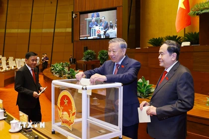 Tổng Bí thư Tô Lâm cùng các đại biểu Quốc hội bỏ phiếu bầu Chủ tịch Quốc hội khoá XVI. (Ảnh: Doãn Tấn/TTXVN)