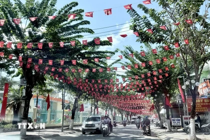 Cờ, băngrôn tuyên truyền dọc các tuyến đường trên địa bàn xã Tri Tôn, An Giang. (Ảnh: Thanh Sang/TTXVN)