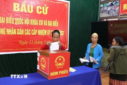 Cử tri bản Co Phạt, xã Môn Sơn (Nghệ An) bỏ phiếu bầu đại biểu Quốc hội khóa XVI và đại biểu HĐND các cấp nhiệm kỳ 2026-2031. (Ảnh: Văn Tý/TTXVN)