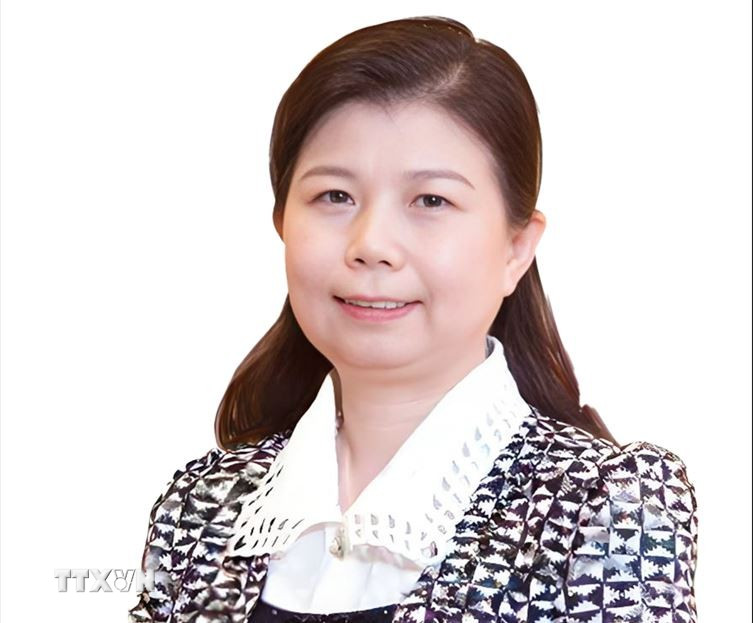 Nghiên cứu viên Viện Nghiên cứu Tài chính Trùng Dương, Đại học Nhân dân Trung Quốc Lưu Anh. (Ảnh:TTXVN phát)