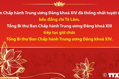 Hội nghị lần thứ nhất Ban Chấp hành TW Đảng khóa XIV đã hoàn thành các nội dung đặc biệt quan trọng
