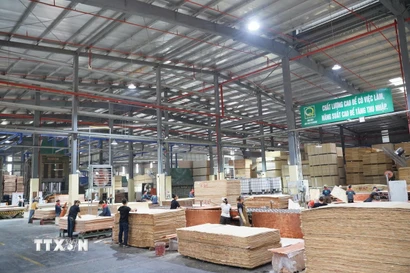 Phát triển công nghiệp chế biến gỗ gắn với lợi thế rừng trồng giữ vai trò chủ đạo trong phát triển công nghiệp, tạo động lực tăng trưởng cho Tuyên Quang trong giai đoạn phát triển mới. (Ảnh: Hoàng Hải/TTXVN)