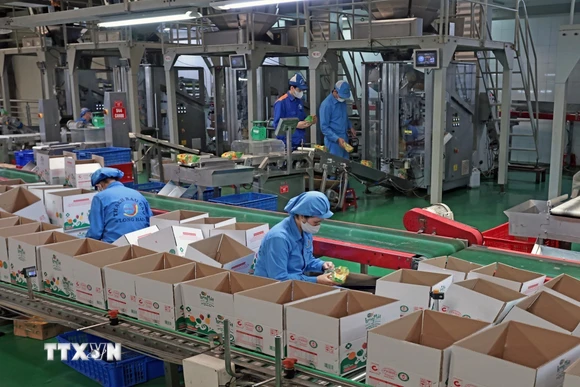 Công ty TNHH Long Hải, Cụm công nghiệp 1, phường Thạch Khôi, thành phố Hải Phòng mỗi năm sản xuất hàng trăm tấn sản phẩm tiêu thụ trong nước và xuất khẩu. (Ảnh: Trần Việt/TTXVN)