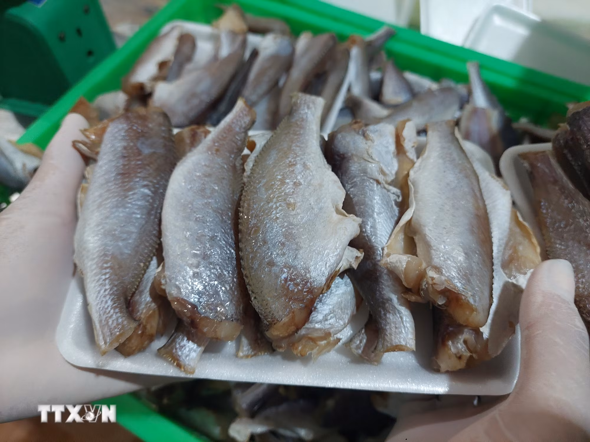 ttxvn-vinh-long-4.jpg