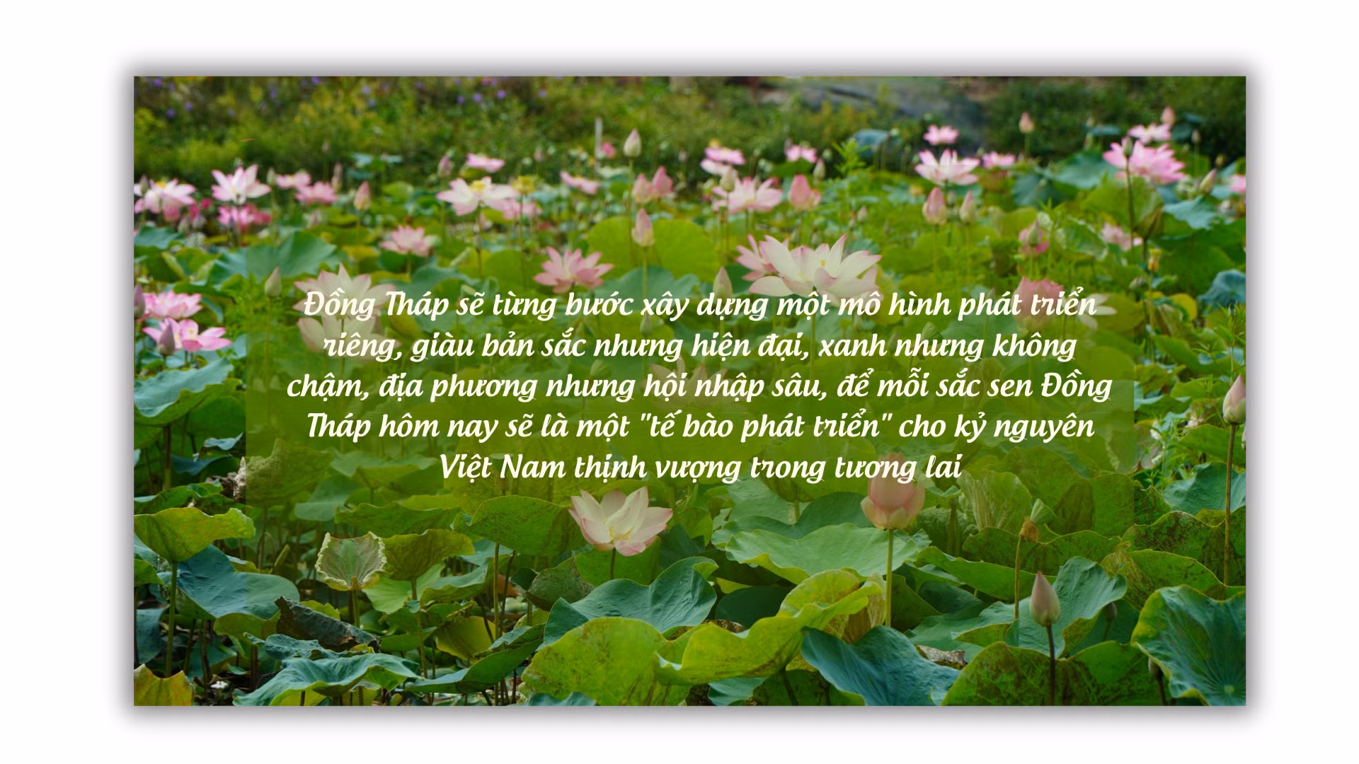dong-thap-4.png