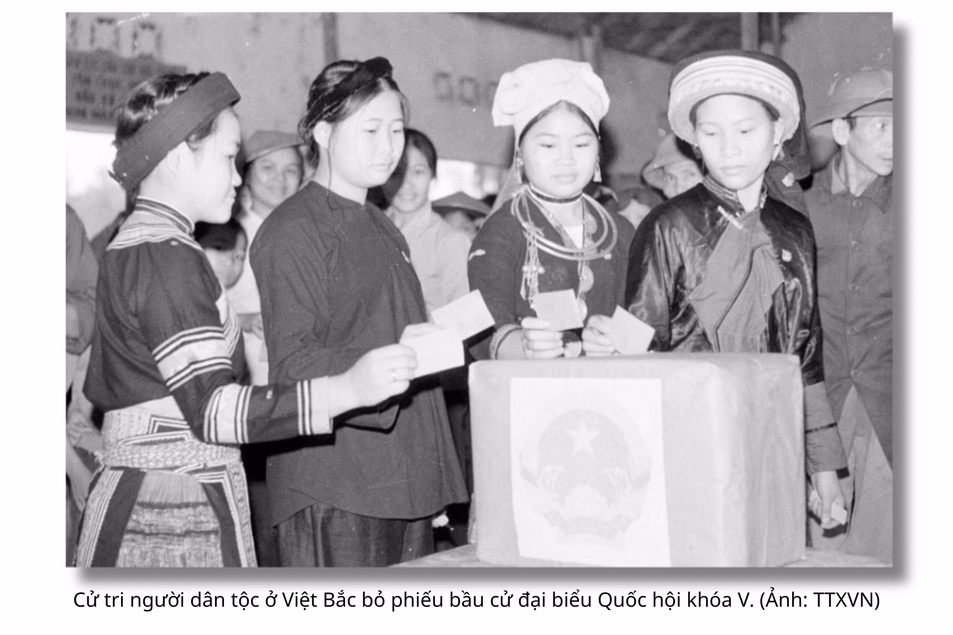 quoc-hoi-khoa-v-5.png